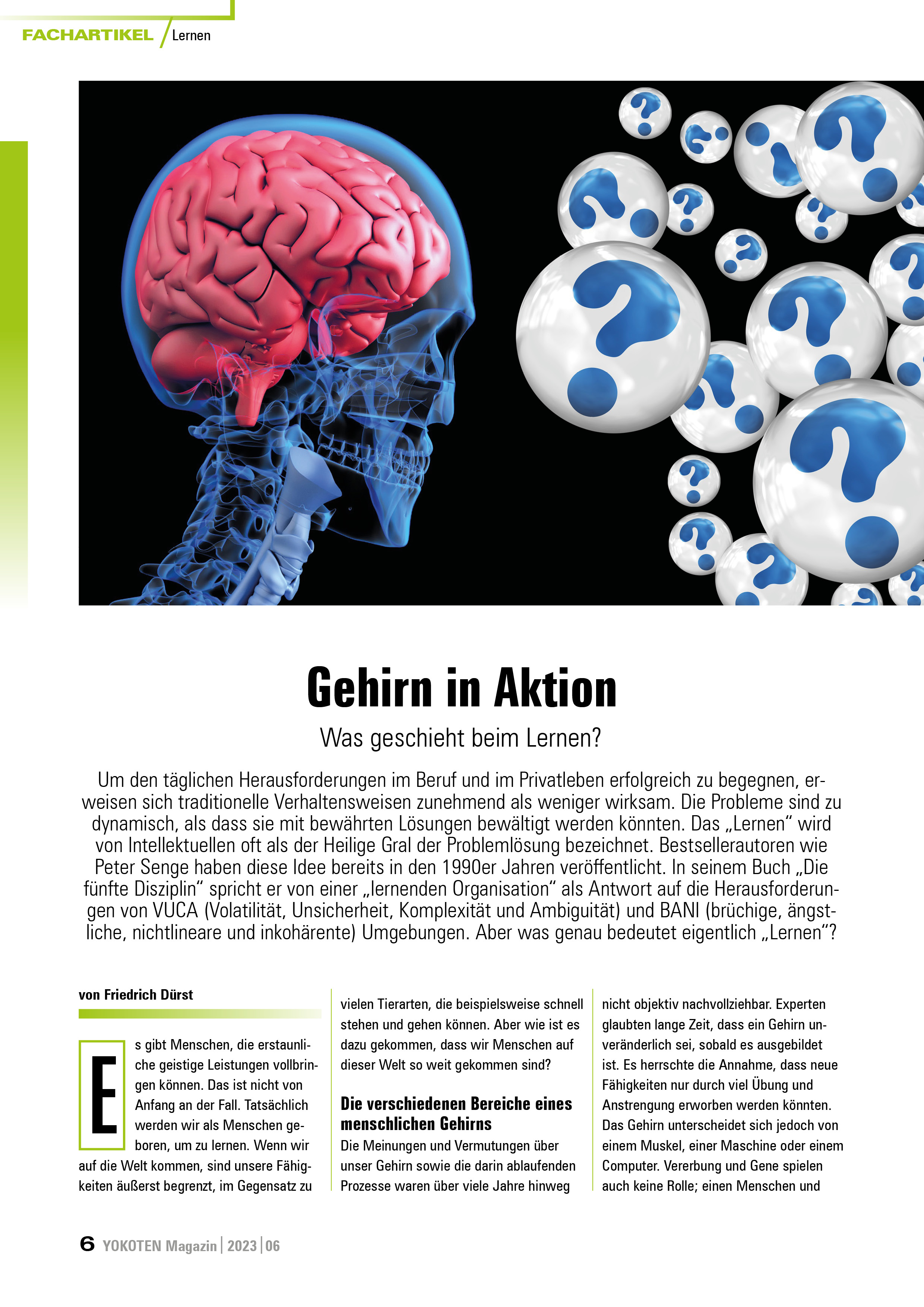 Gehirn in Aktion  - Artikel aus Fachmagazin YOKOTEN 2023-06